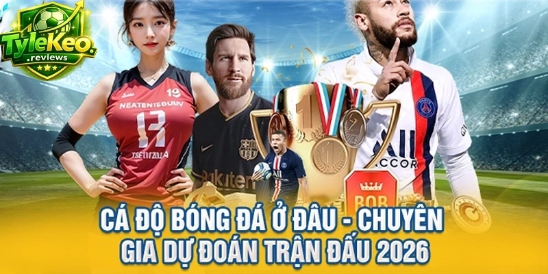 Cá Độ Bóng Đá Ở Đâu - Chuyên Gia Dự Đoán Trận Đấu 2026