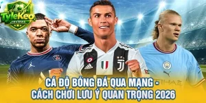 Cá Độ Bóng Đá Qua Mạng - Cách Chơi Lưu Ý Quan Trọng 2026