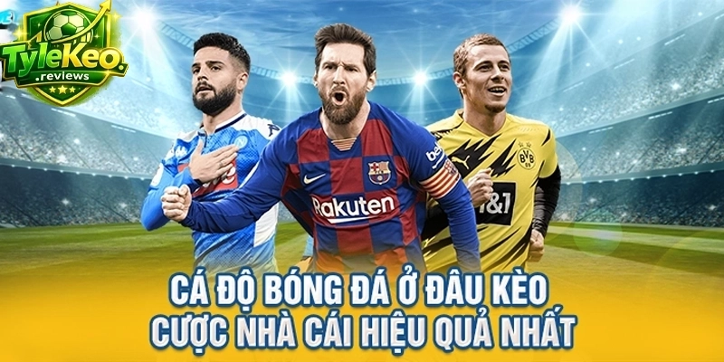 Cá độ bóng đá ở đâu kèo cược nhà cái hiệu quả nhất