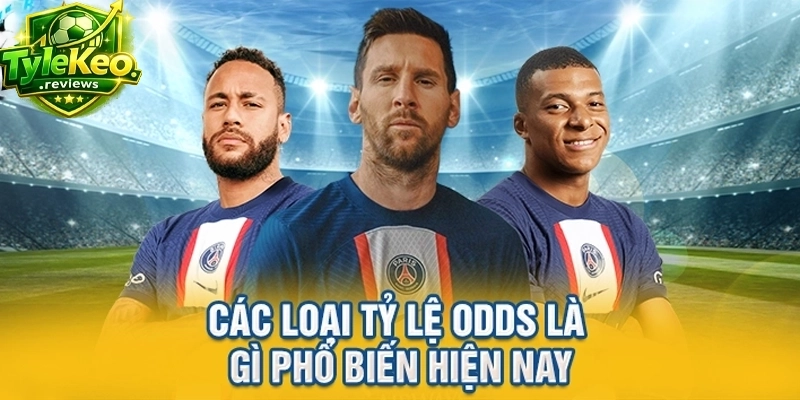 Các loại tỷ lệ Odds là gì phổ biến hiện nay