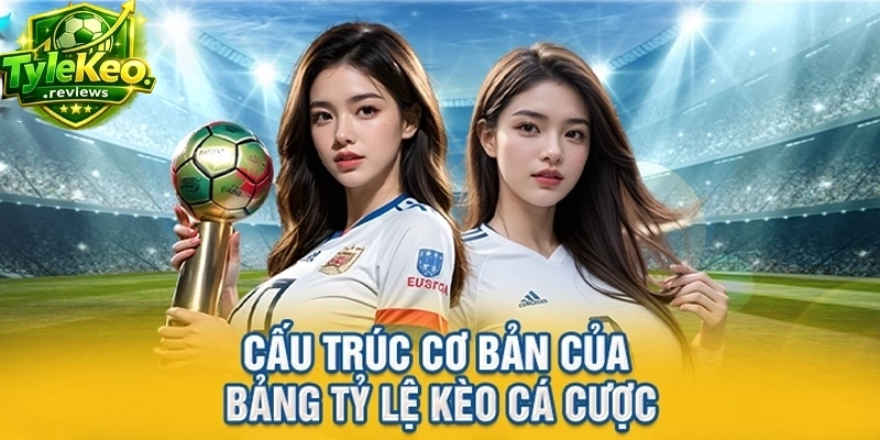 Cấu trúc cơ bản của bảng tỷ lệ kèo cá cược