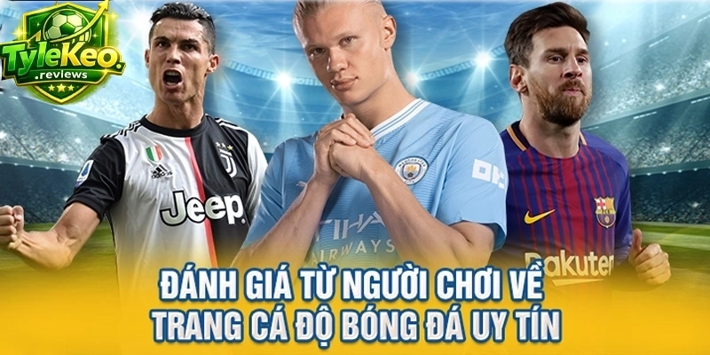 Đánh giá từ người chơi về trang cá độ bóng đá uy tín