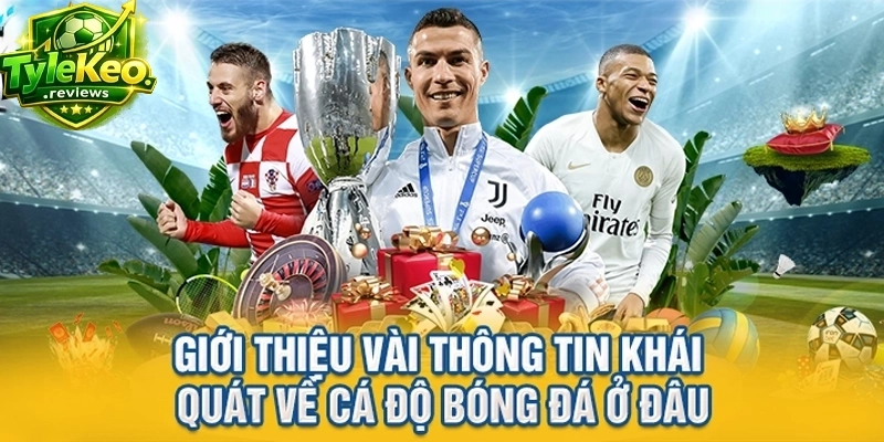 Giới thiệu vài thông tin khái quát về cá độ bóng đá ở đâu