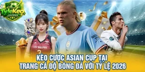 Kèo Cược Asian Cup Tại Trang Cá Độ Bóng Đá Với Tỷ Lệ 2026