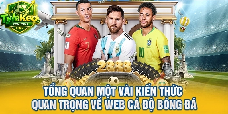 Tổng quan một vài kiến thức quan trọng về web cá độ bóng đá