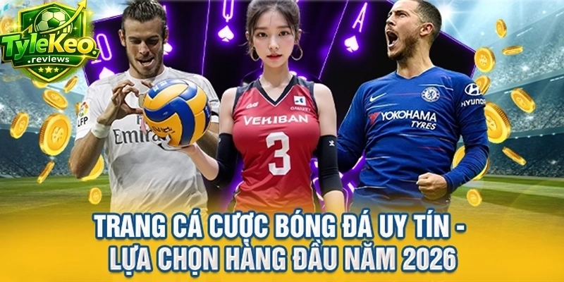 Trang Cá Cược Bóng Đá Uy Tín - Lựa Chọn Hàng Đầu Năm 2026
