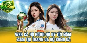 Web Cá Độ Bóng Đá Uy Tín Năm 2026 Tại Trang Cá Độ Bóng Đá