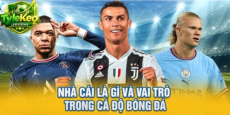 Nhà cái là gì và vai trò trong cá độ bóng đá