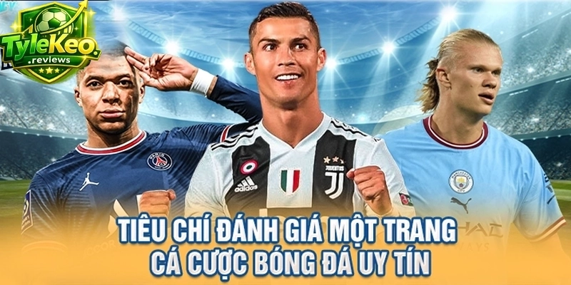 Tiêu chí đánh giá một trang cá cược bóng đá uy tín