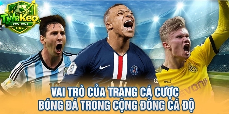 Vai trò của trang cá cược bóng đá trong cộng đồng cá độ